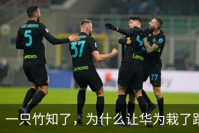 一只竹知了，为什么让华为栽了跟头？