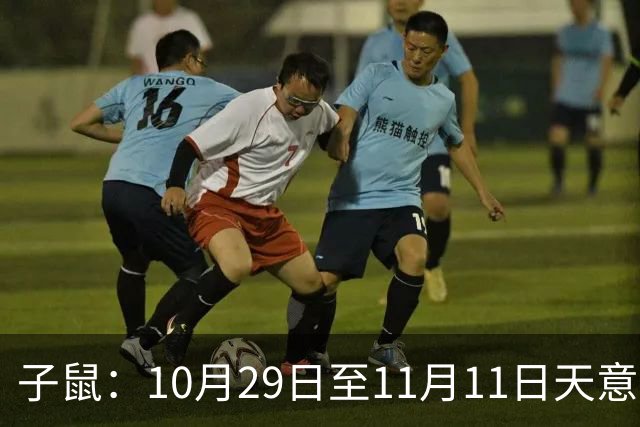 子鼠：10月29日至11月11日天意难违，有件大事落你头上