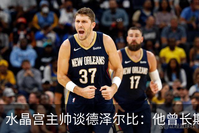 水晶宫主帅谈德泽尔比：他曾长期是我的榜样 向他学习过如何踢球