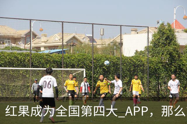 红果成为全国第四大 APP，那么前三大 APP 是啥？